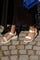 Linie | Pina Colada | Sandalen von Woden