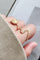 Iceabella Ring | Ruf des Vogelgesangs