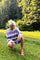 I Haven | Light Purple | Bluse fra Lind