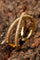 Kreuz Dein Herz Ring | Fingerring von Birdsong